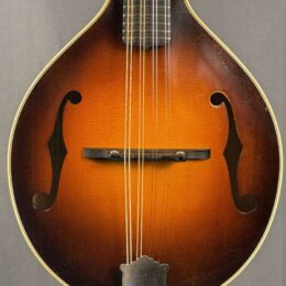 Used Pava A5 Player #23
