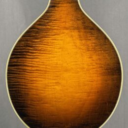 Used Pava A5 Player #23