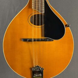 Used Kentucky KM272 Mandolin Bag