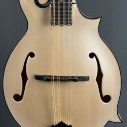 Gibson F-5G Custom Mandolin - Translucent White Metal Flake
